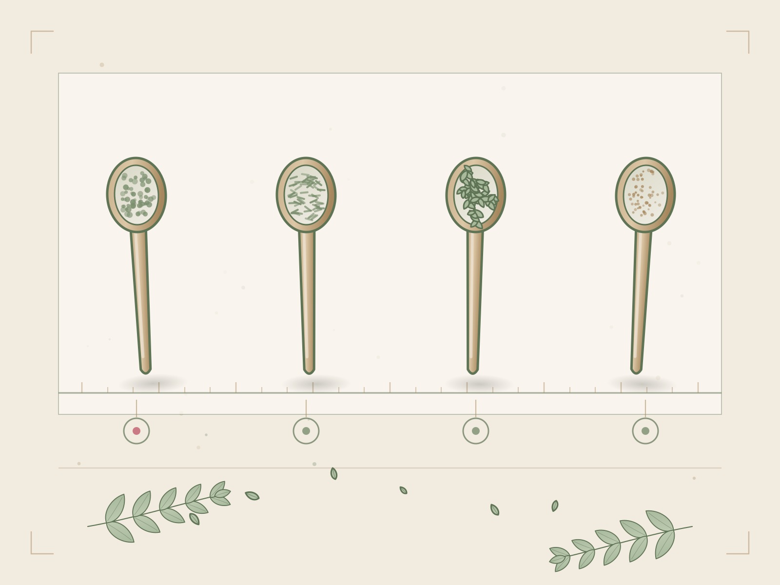 Illustration of four spoons holding different herbs