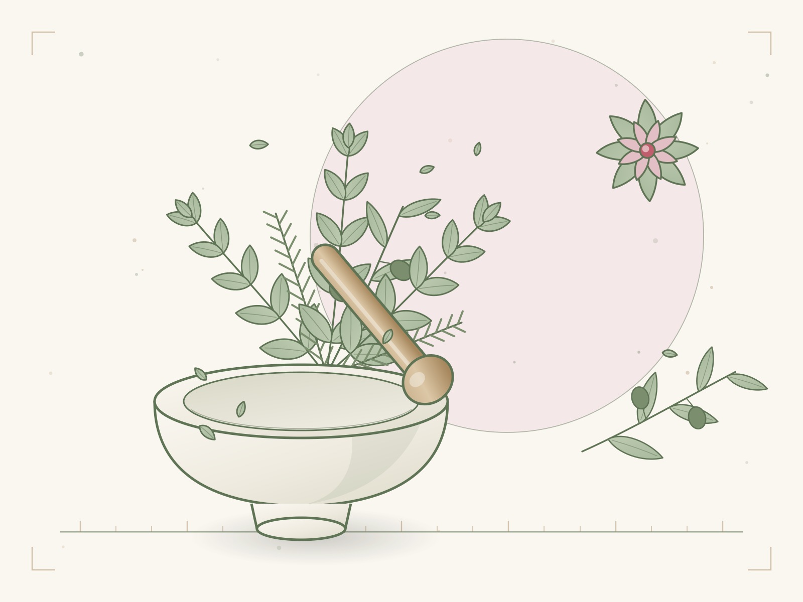 Illustration of a mortar and pestle with herb sprigs