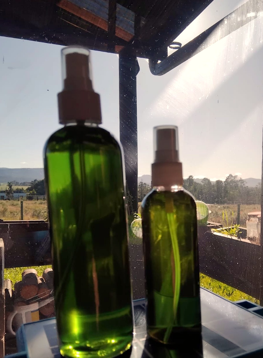 Two bottles of Rose Pain Spray in window light